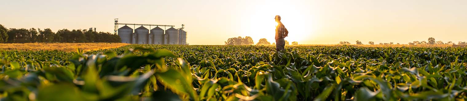 Business Farm/Ag Loans in Eastern Iowa (Cedar Rapids, Marion, Iowa City, and more)