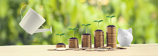 Stacks of coins growing taller with seedlings and a watering can, showing what compound interest is