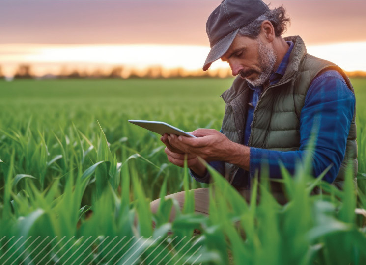 Farmer using a tablet in a green field at sunset, representing modern agricultural management.